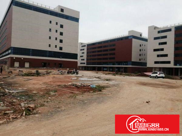 出租，清溪超大，全新厂房，单价17元