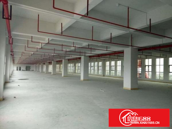 石排原房东独院三层厂房面积6000平方出租