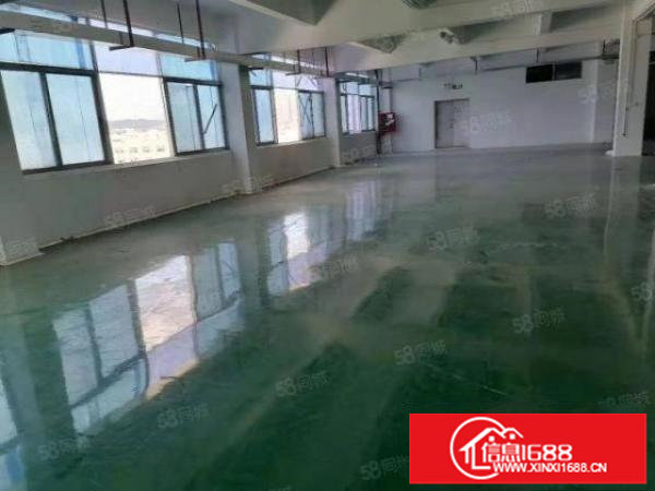 华南城工业区花园式独门独院厂房4700平米招租