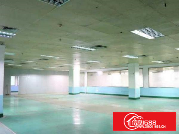 1356平米，价格优惠好房可备案，高层高使用率