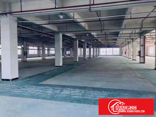 凤岗红本厂房精装修3600平周边人气旺易招工厂房出租