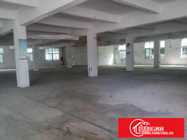 袁山贝招租一楼厂房1200平方形象好可分租