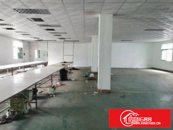 石排中坑楼上精装修吊顶厂房380平方带办公出租