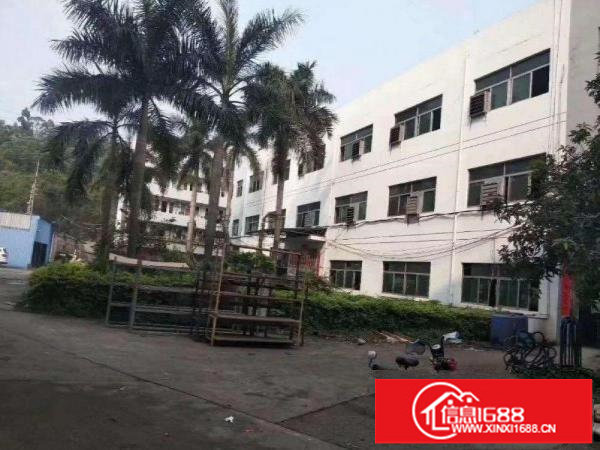 沙浦围一楼1080高5.5米厂房带红包可办环评