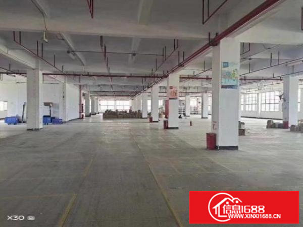 楼村原房东单层6000平厂房招租，空地大，可分租，仅20元