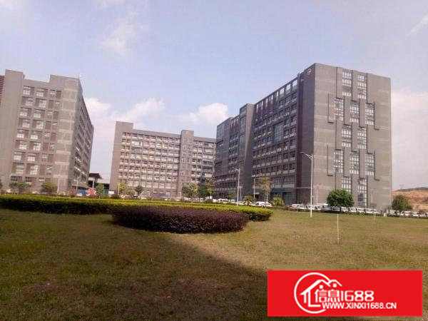 深圳龙岗平湖白泥坑海吉星附近厂房招租面积4000平