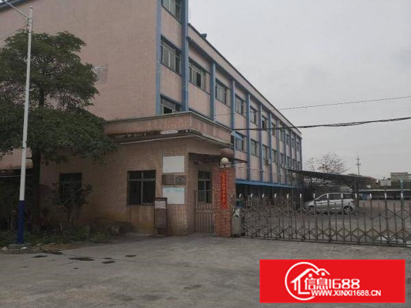 石湾/园洲镇大量标准三层独院厂房出租