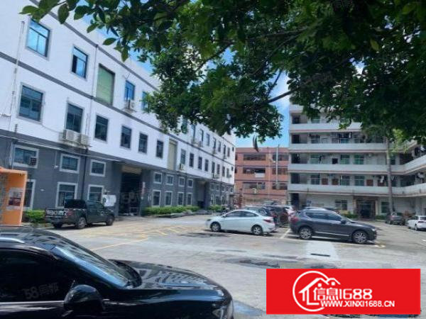 大浪出原房东楼上精装修1550平厂房仓库出租水电齐全可分租