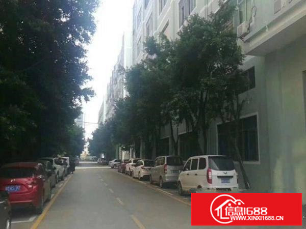 松岗燕川新出独院厂房二三楼每层1300平方无公摊