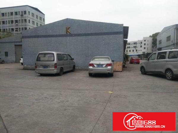 雁田新出标准一楼小面积打包价4800