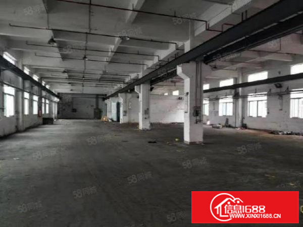 东莞横沥镇原房东八米高单层独院厂房出租急租