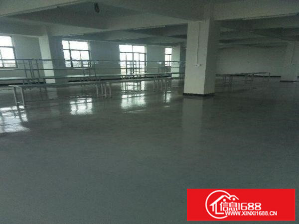 红本厂房出租1000分租一楼高度6米