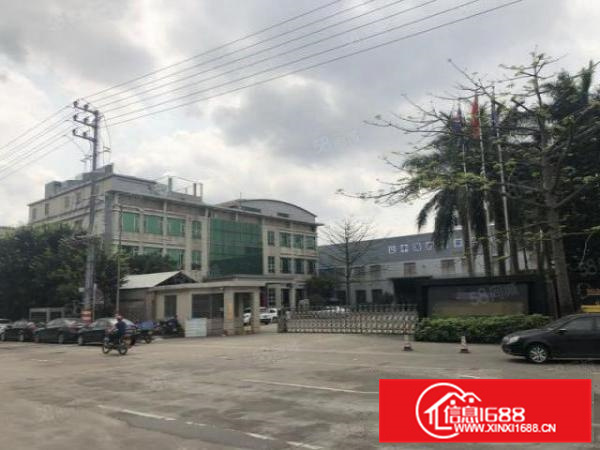 独立办公厂房6000方，带空地，好进车，有证件，不在拆迁区域