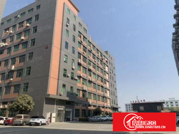 大坪高速附近，科苑城楼上新出800平方精装修厂房