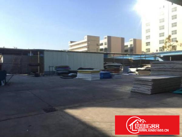 凤岗珍珠棉木材包材打包塑胶行业独院钢构出租