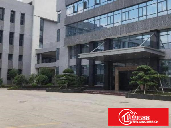 横沥镇适合上市公司或高新产业园个人厂房招租