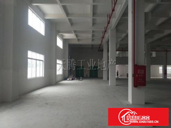 顺德9800方独门独院厂房！租金超便！可过环保！