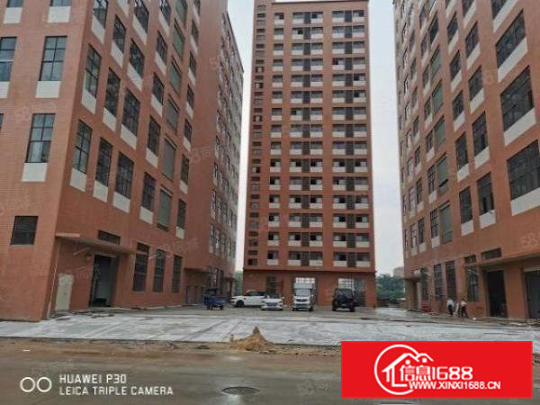 带红本工业园全新标准厂房出租一楼7.5高带牛角可分租工业地