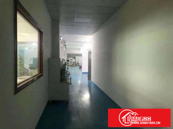 观澜松元原房东无公摊1楼标准厂房1000平米出租