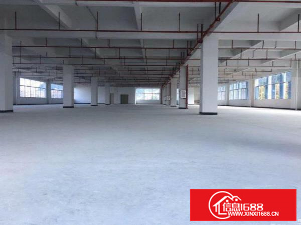 惠阳新圩长布原房东独院厂房8900平100平起分租