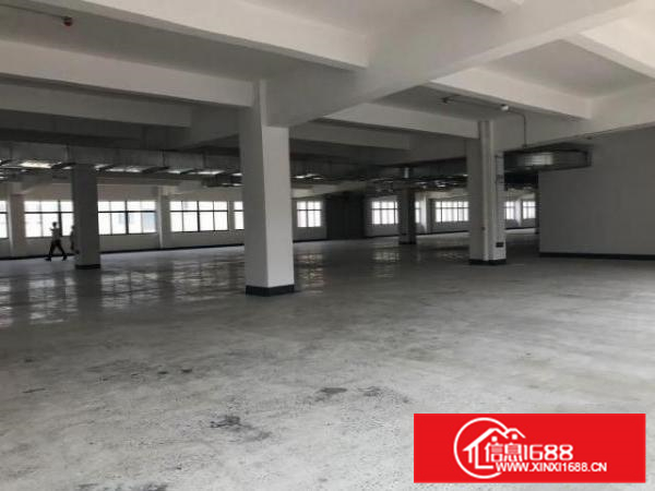 出租顺德区均安镇标准化新厂房