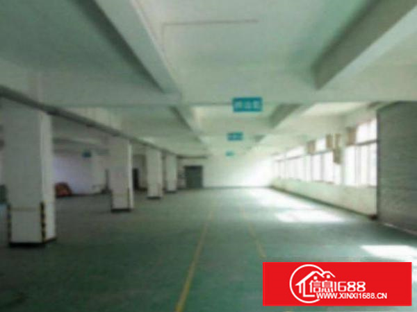 万江2楼3000平米工业区独院标准厂房招租现水电、消防等设施