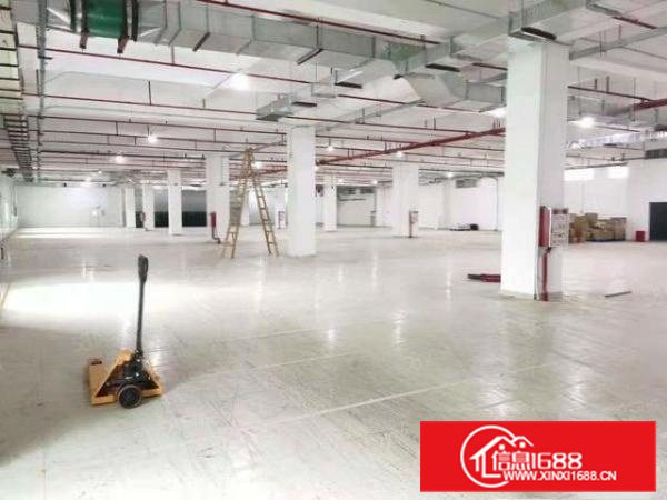 长安镇现有豪华精装修厂房出租1800平水电齐全，现场照片拍摄