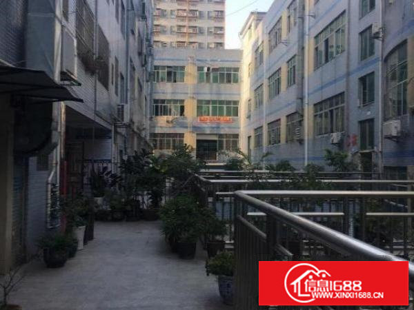 大浪联恒工业区560平米厂房出租