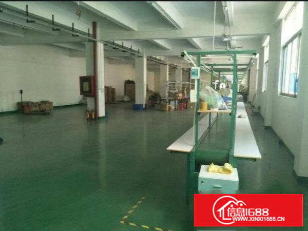 塘厦四村独院楼上1580平方现成水电装修