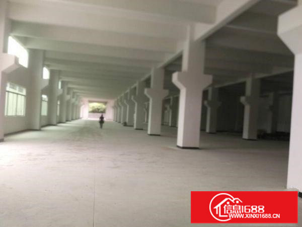 清溪镇九乡村原房东新建两层独门独院钢结构厂房6800平