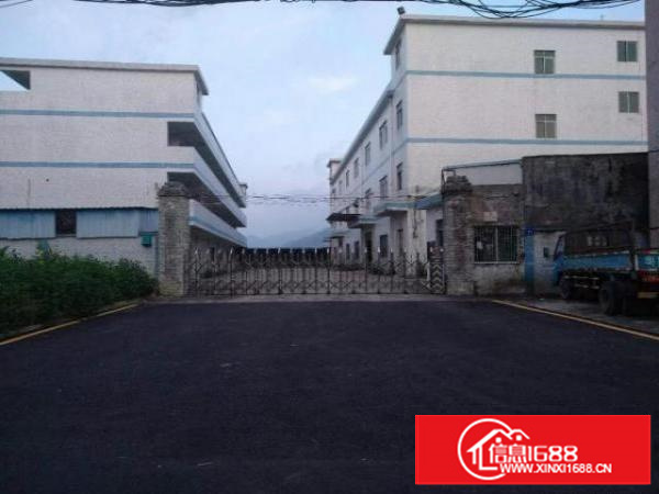 万江独院标准厂房1-3层5000平方出租、可办环评