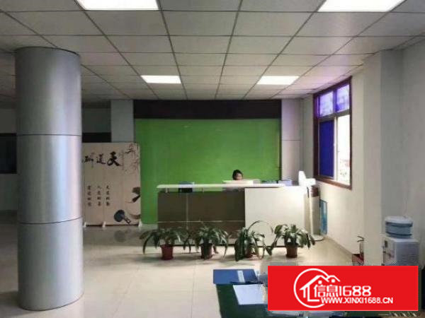 沙井共和新出楼上600平米