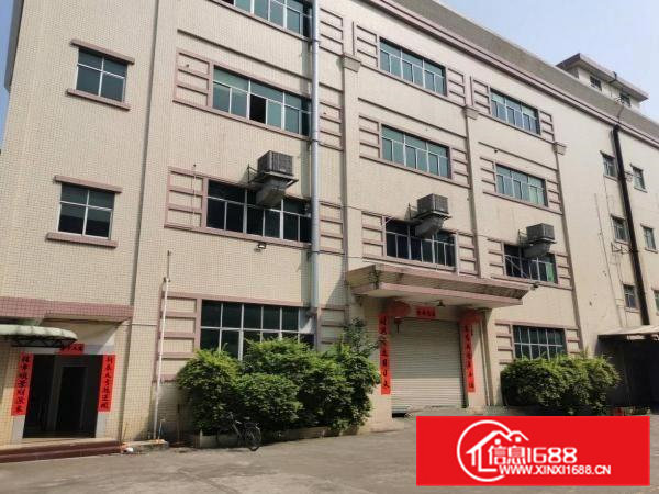 横沥西城三区原房东小独院厂房出租5000平方交通方便易招工