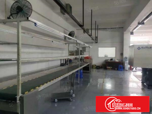 （厂房出租）长安镇锦厦社区新出标准1楼900平方全新地坪漆