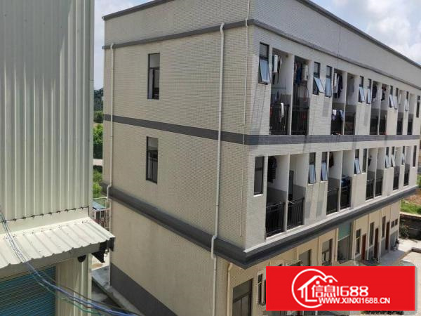 惠东白花独门独院16800平，现成家具环评喷油环评拎包入驻。