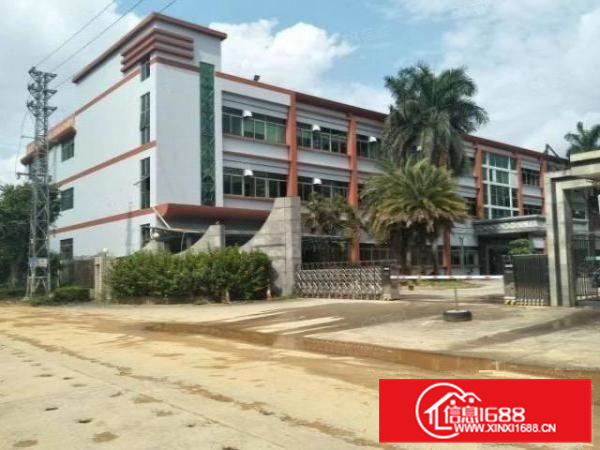 独院可办环评电大容桂标准4000方厂房出租