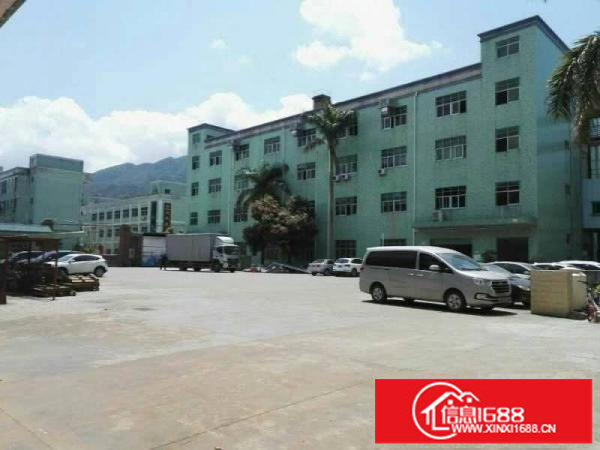 坪山碧岭新出1180平楼上整层标准厂房低价出租