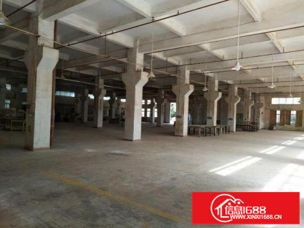 惠阳新圩塘吓独院标准厂房可分租1800平方米出租