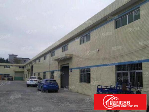 出租!单一层2400平方滴水八米独院