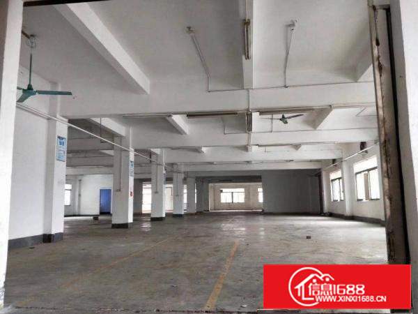 厦岗原房东厂房新空出，带精装修