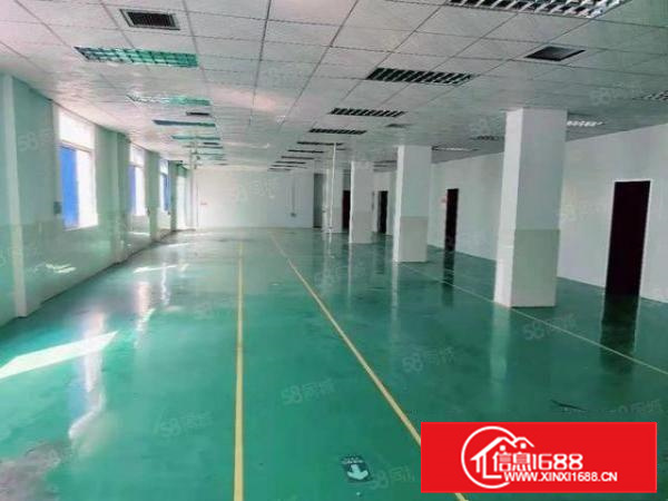 （经典独院）长安镇咸西社区新空出标准独院厂房4500平方出租