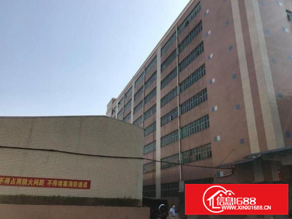 原房东独门独院厂房出租