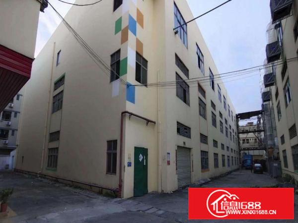 东莞桥头镇新出原房东带消防标准厂房2300平方出租