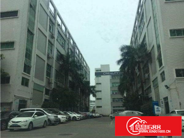 坂田杨美地铁站旁电商贸易办公26800平出租,220平起分租