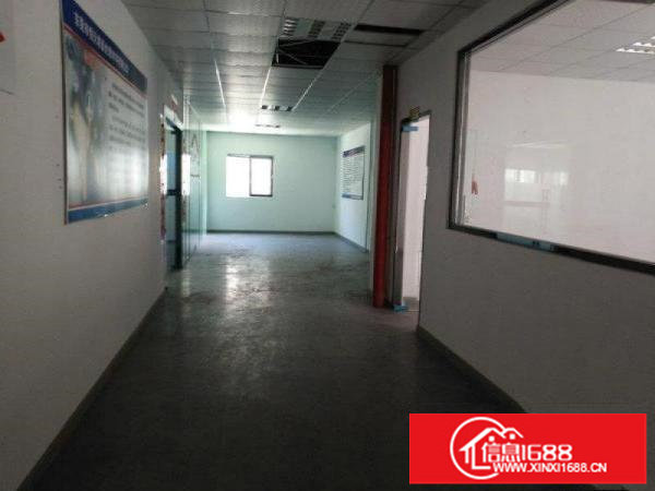 坪山石井新出独院二楼1200平现成办公室招租