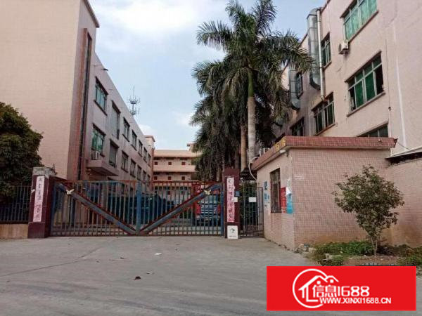 原房东独门独院厂房出租