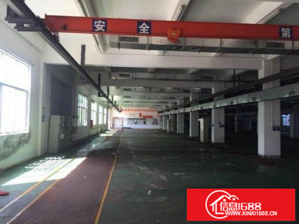 龙岗宝龙工业区新出独院8000平米，可整租可分租