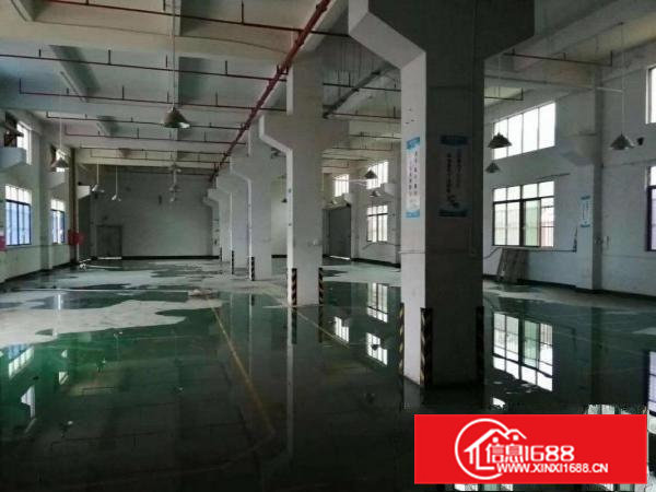 （出租）凤岗新出一楼800平6米高带牛角消防喷淋