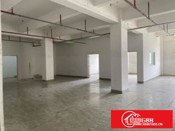 横岗六约新出靓盘，大小可租