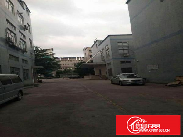 秋长新塘新出一楼2500平精装修厂房出租